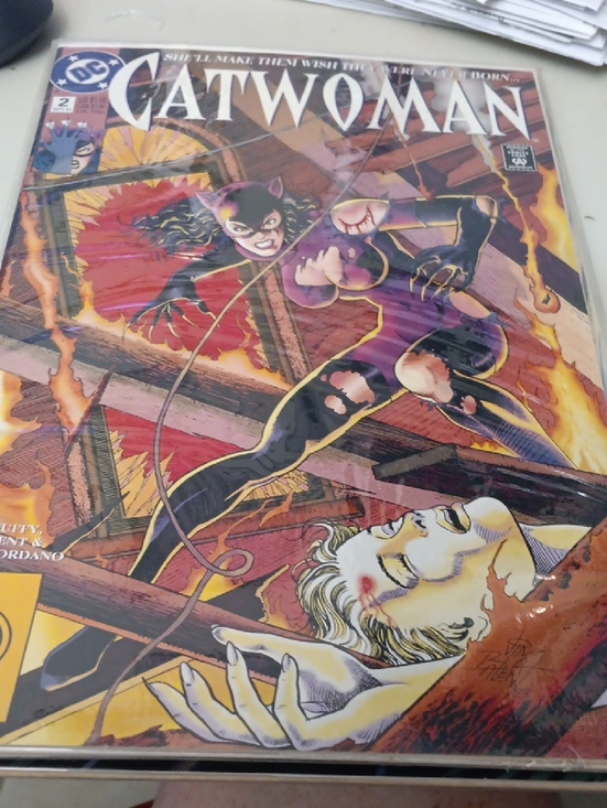DC Other - DC Catwoman Comic Cover — Purple, Black & Orange In A Sleeve